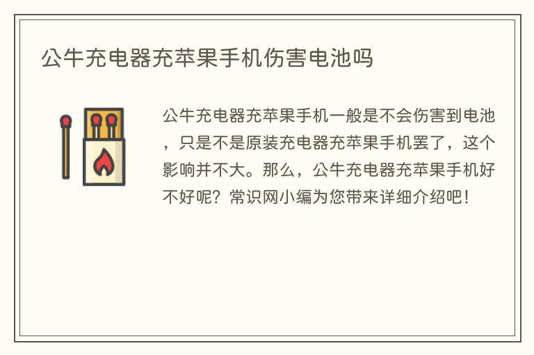 公牛充电器充苹果手机伤害电池吗