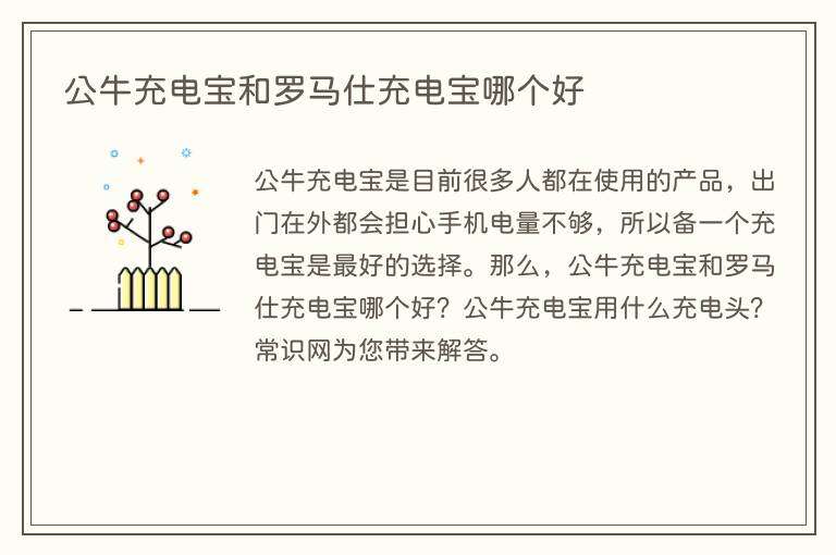 公牛充电宝和罗马仕充电宝哪个好