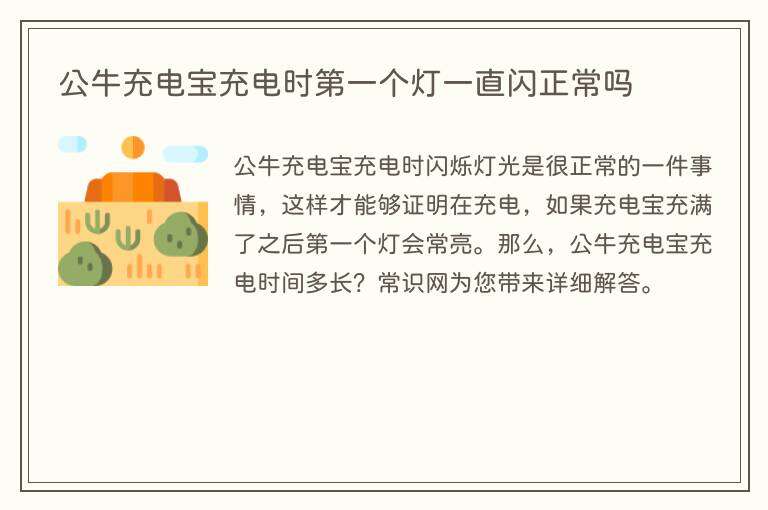 公牛充电宝充电时第一个灯一直闪正常吗