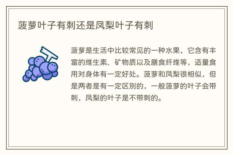 菠萝叶子有刺还是凤梨叶子有刺