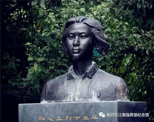 林心平:甘洒热血化彩虹