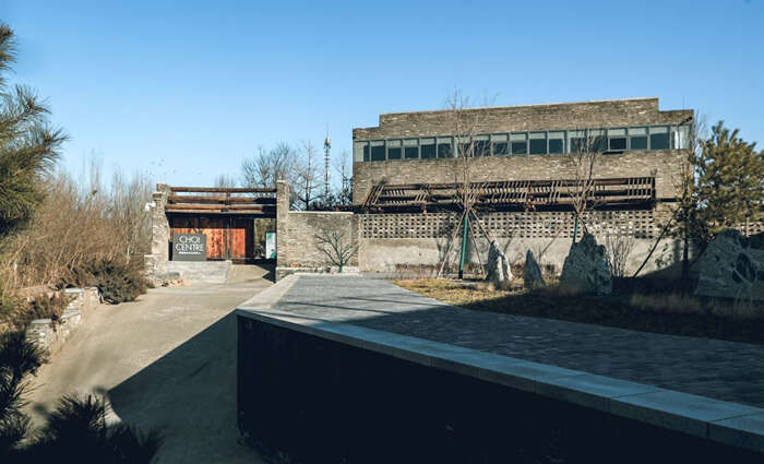超越人类中心主义,重建与万物连接——中法艺术家共构《蛇纹绿岩》