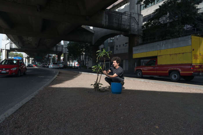 超越人类中心主义,重建与万物连接——中法艺术家共构《蛇纹绿岩》