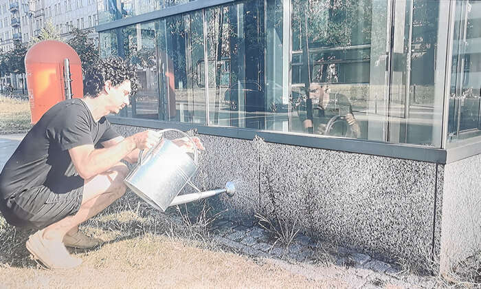 超越人类中心主义,重建与万物连接——中法艺术家共构《蛇纹绿岩》