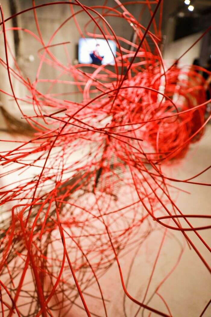 2023中国美术学院毕业季:3000余件作品共同绽放“大脑花园”