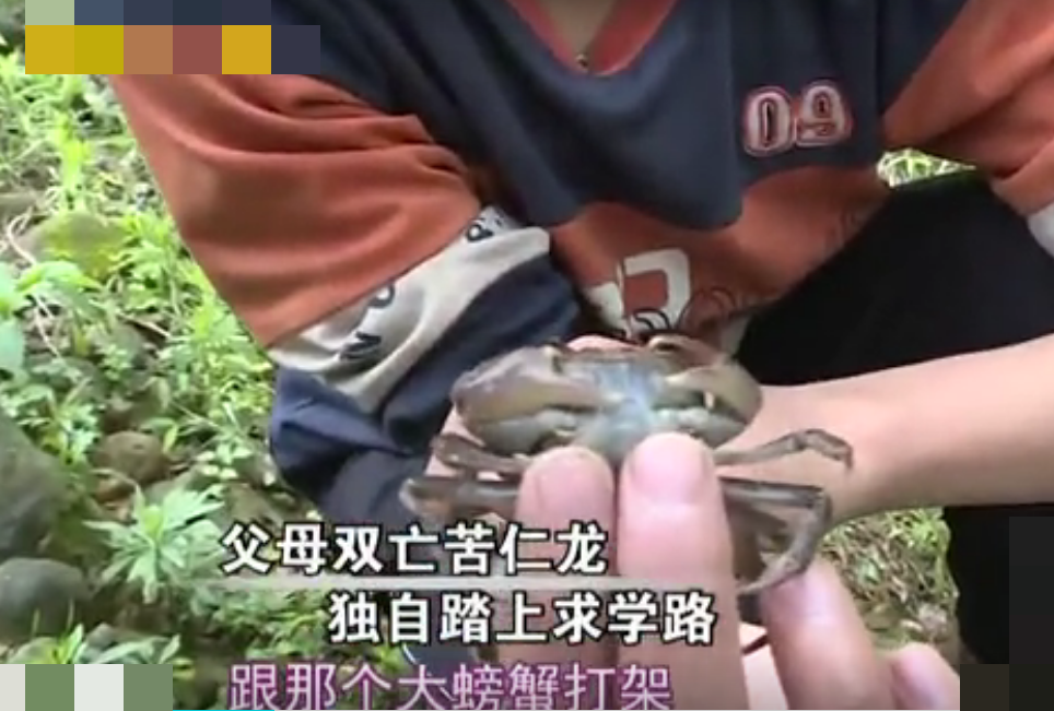 广西13岁男孩韦仁龙父母双亡,靠捡垃圾谋生,6年后,以707高考分数考上北大