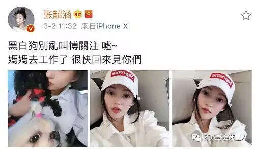 范玮琪被骂陈建州亲自回怼护妻,霍建华该好好学学