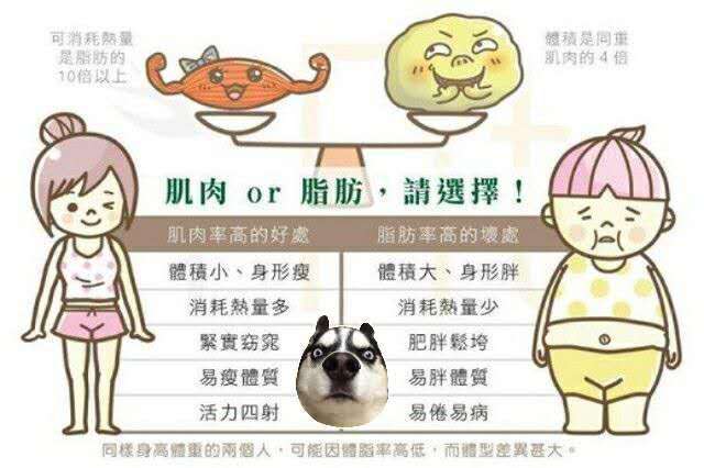 运动健身:减脂与增肌 孰先孰后?