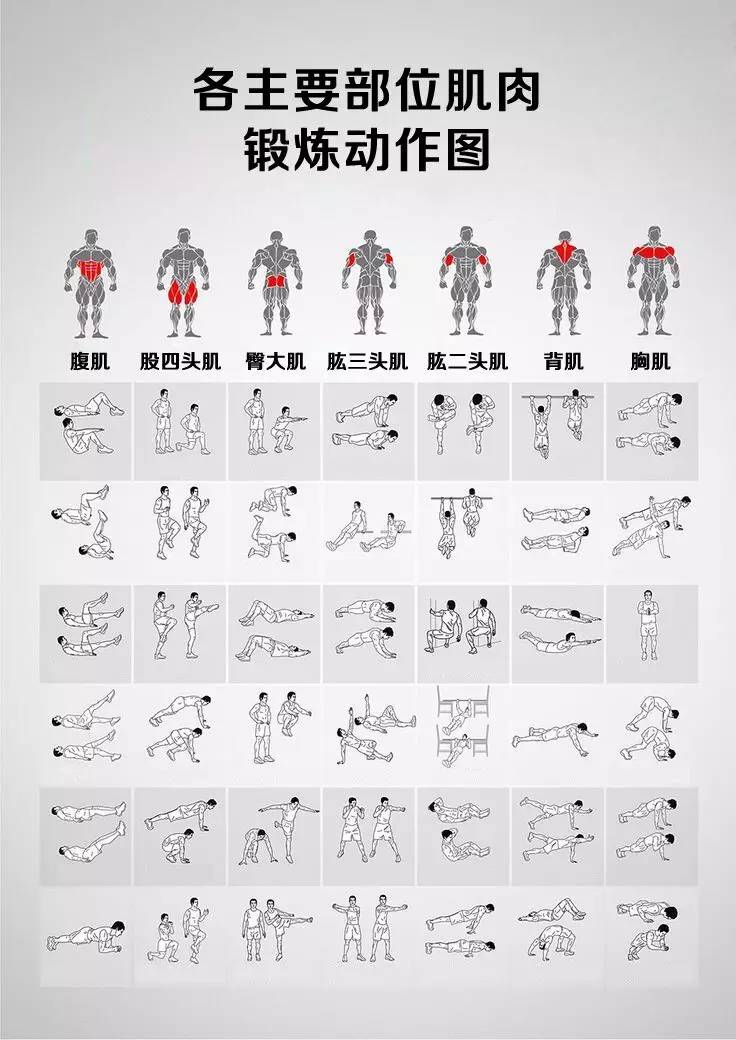运动健身:增肌和减脂前你得先了解这些知识