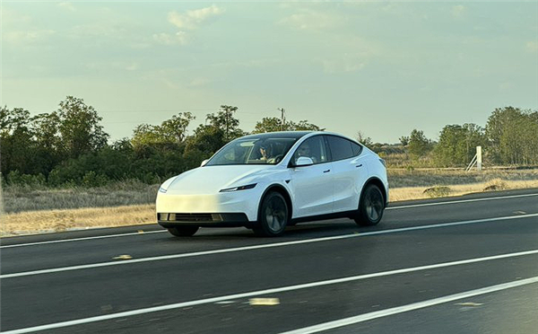 贯穿灯砍了、方向盘手动!特斯拉标准版Model Y实车曝光,28万卖‘简配版’?