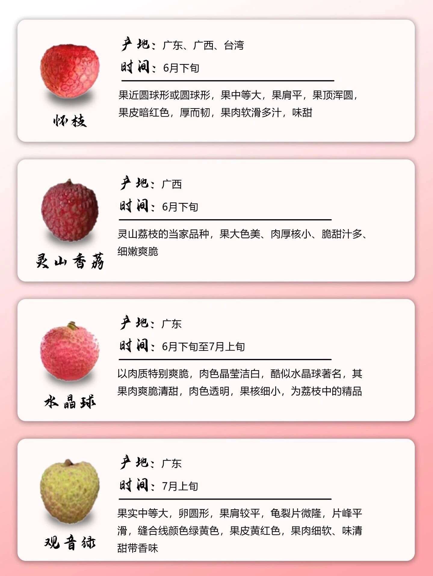 应季荔枝品种图解及上