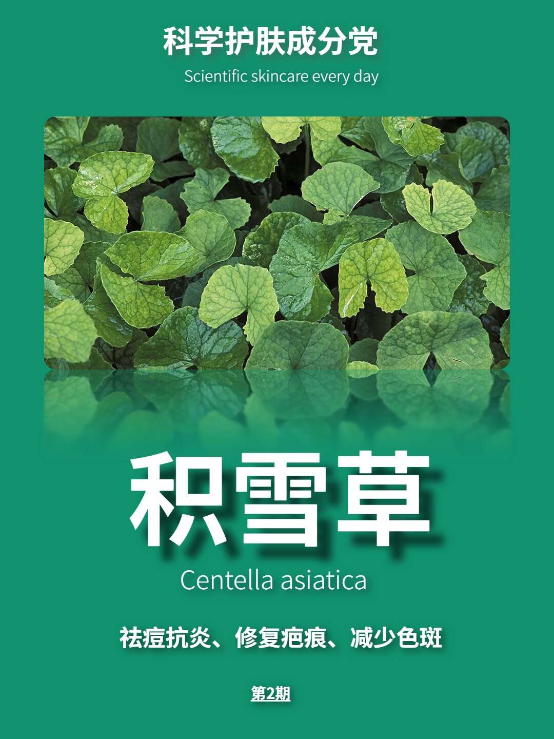 每天一个护肤知识:积