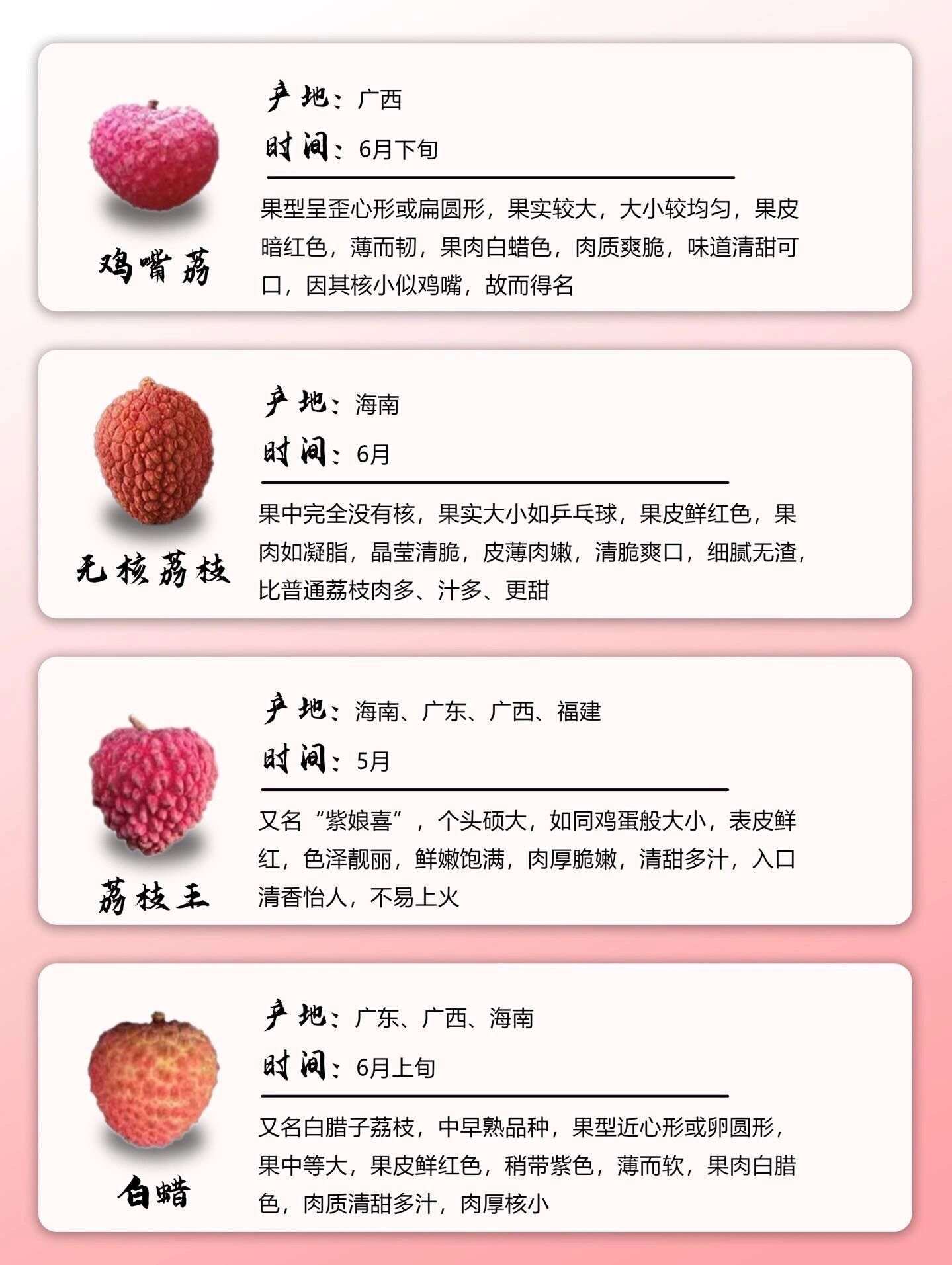 应季荔枝品种图解及上