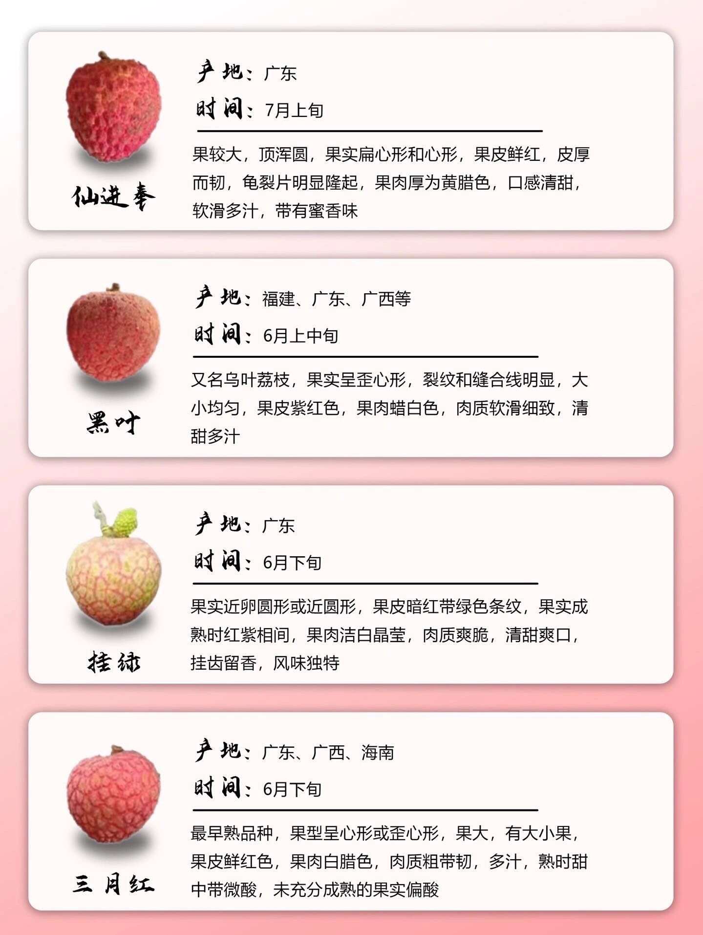 应季荔枝品种图解及上
