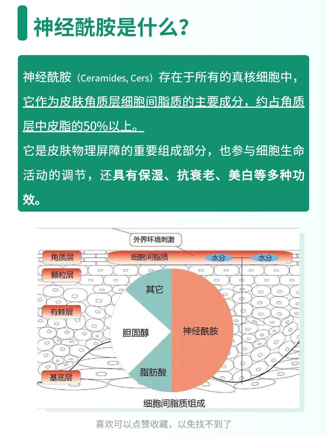 每天一个护肤知识:神