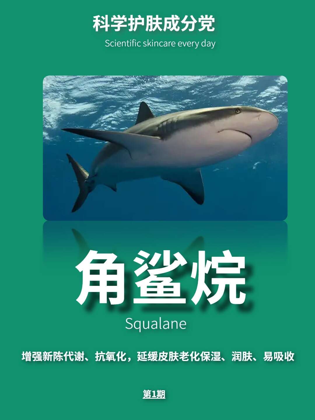 每天一个护肤知识:角