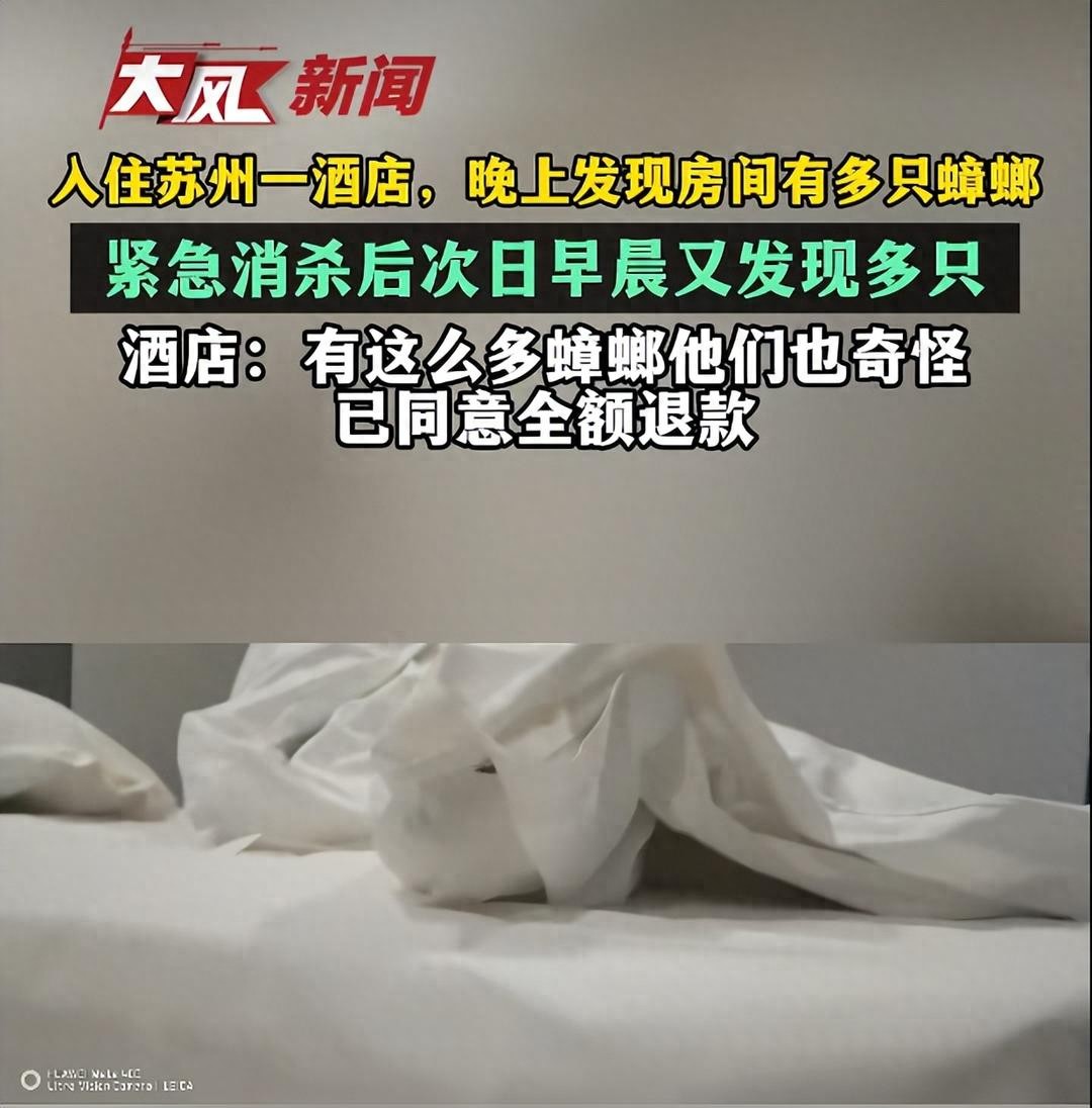 惊爆!山东男子苏州酒店惊魂记,蟑螂肆虐,一夜难眠!